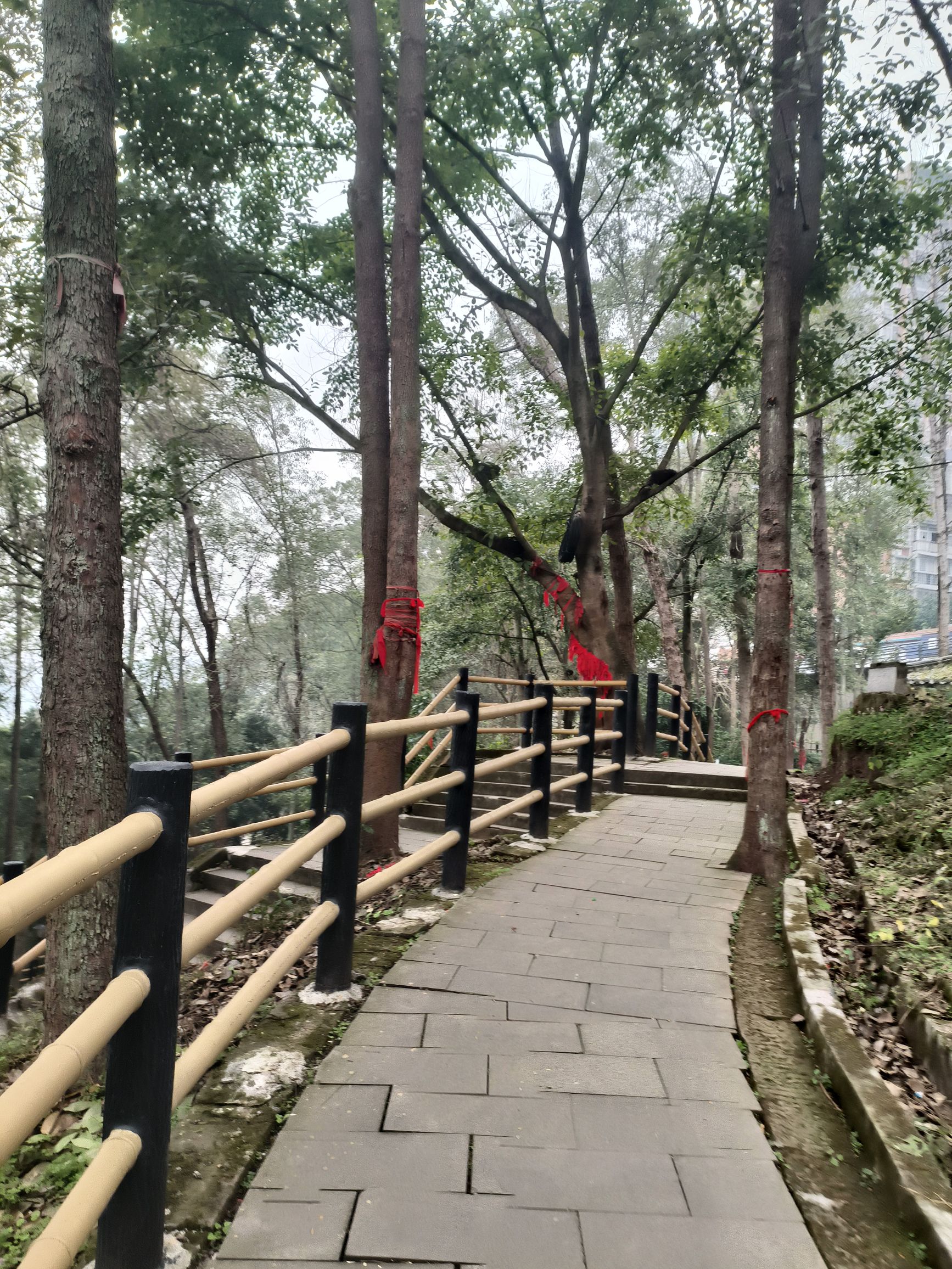 印山公园旅行图片 3