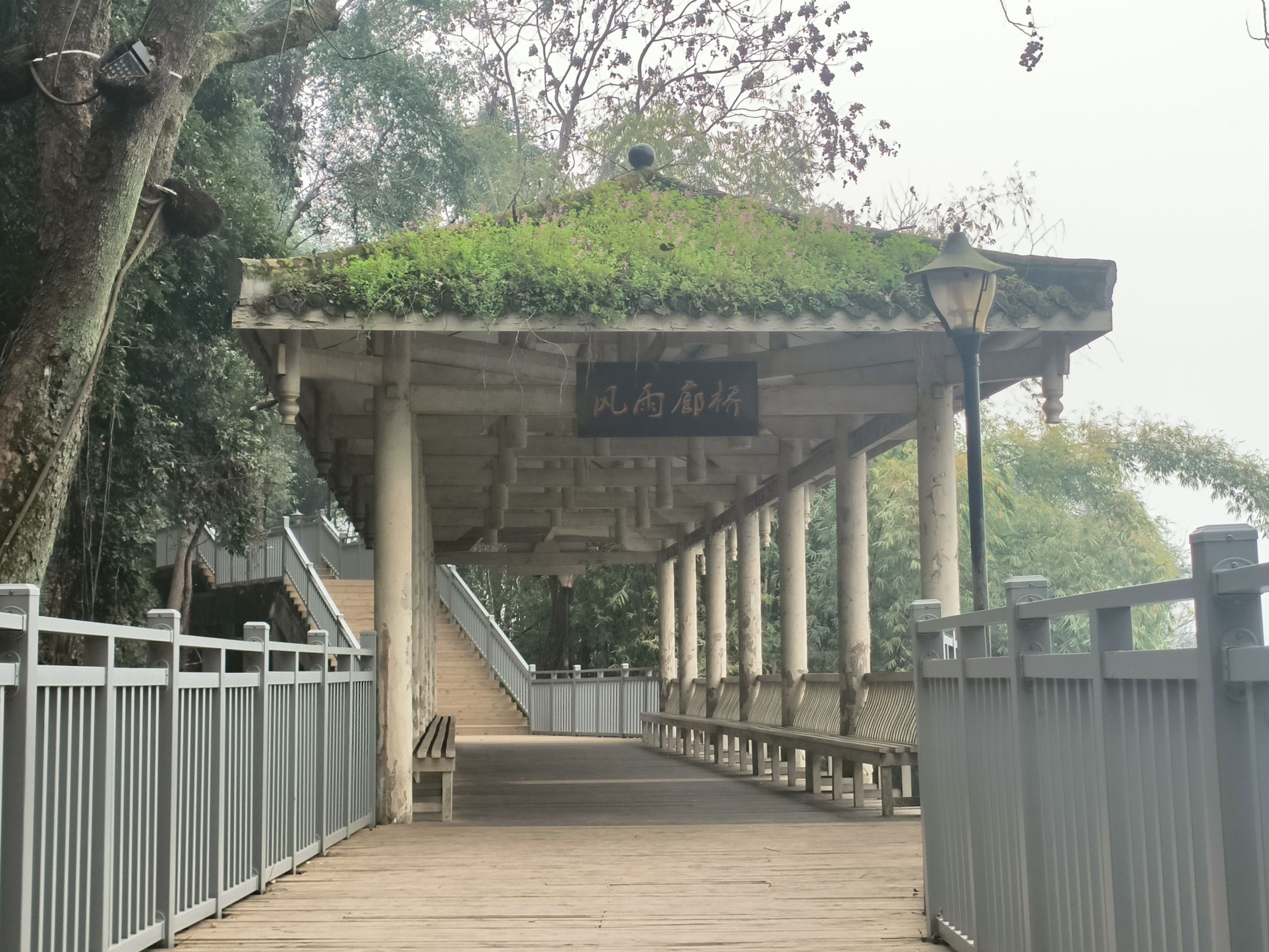 印山公园旅行图片 1