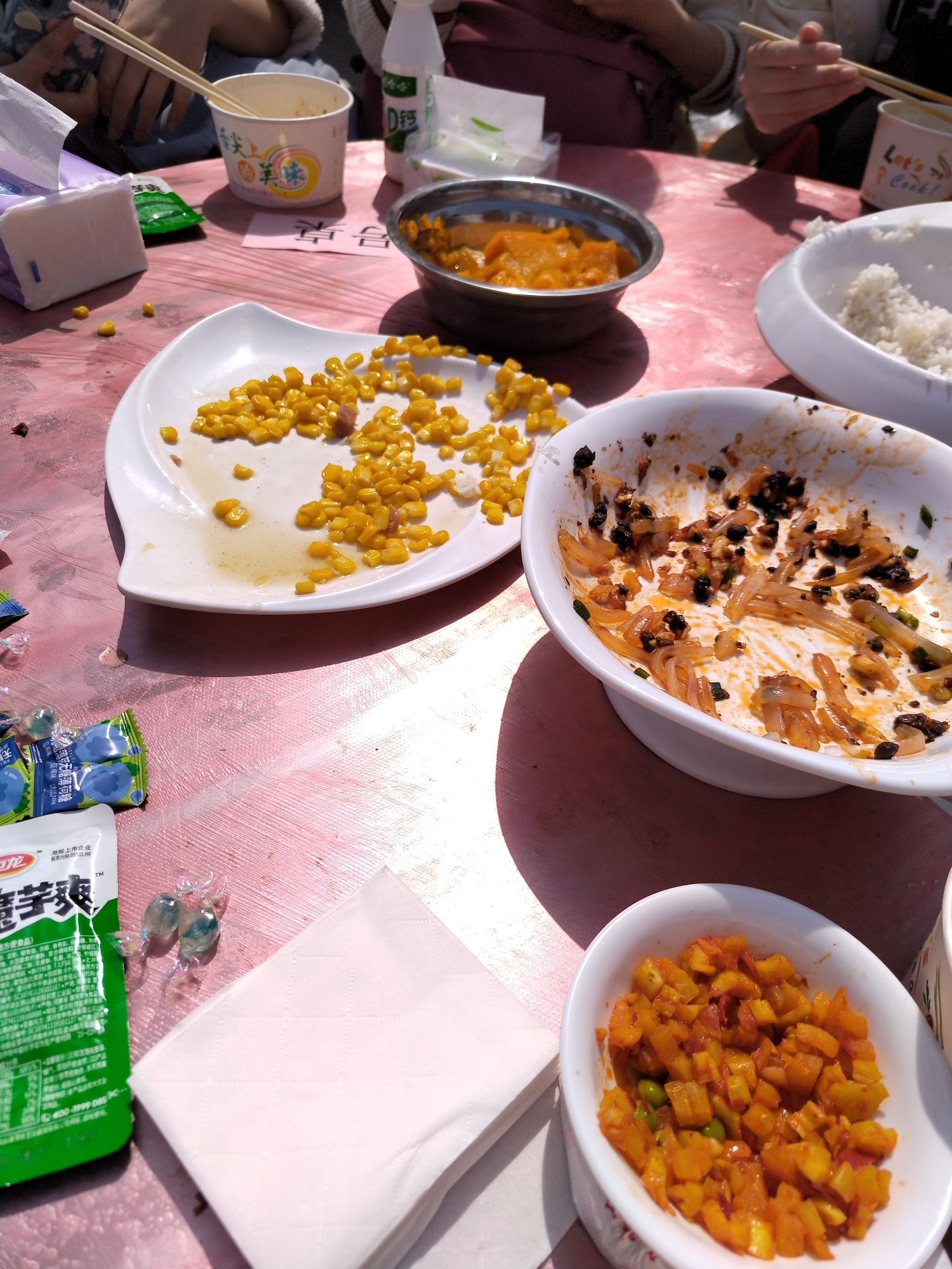 罗曼蒂克庄园旅行图片 2