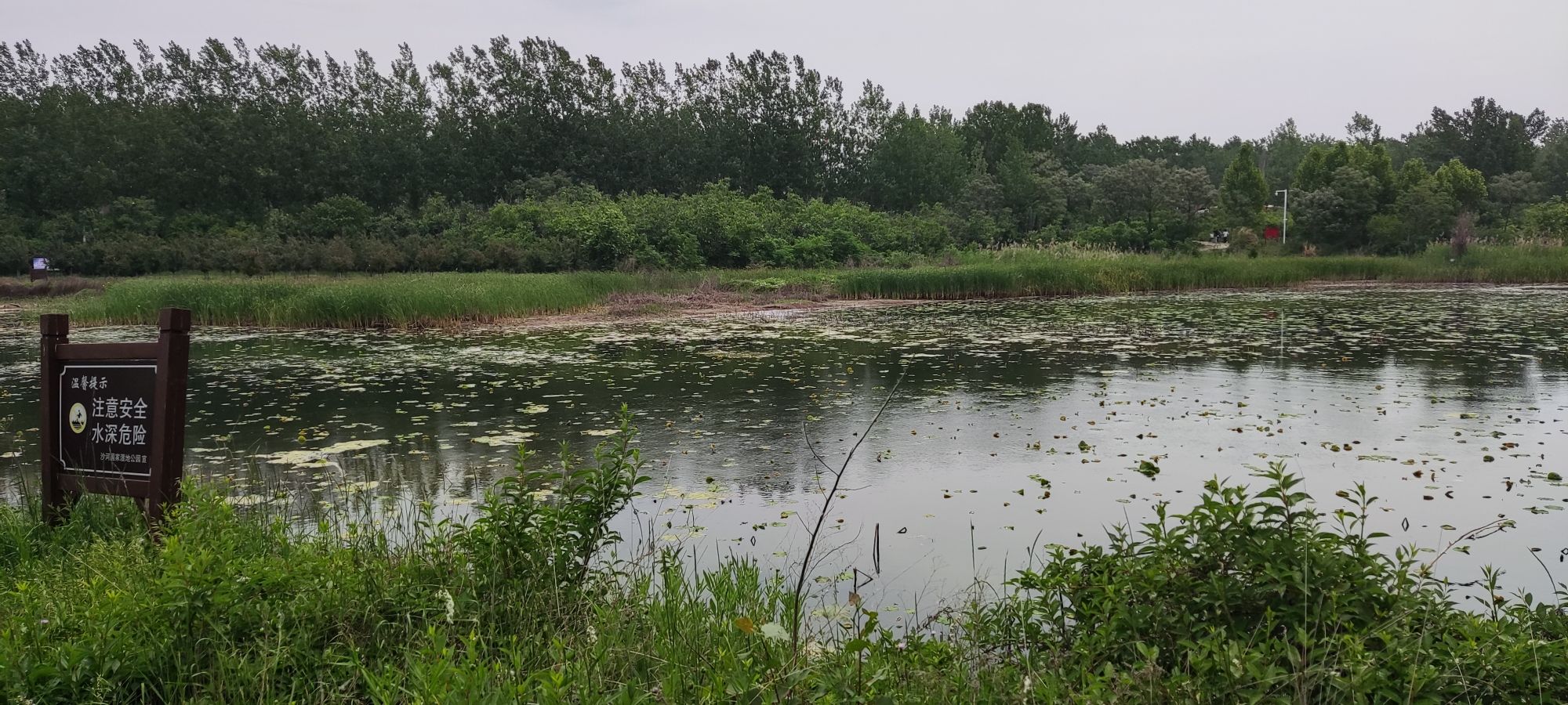 河南省漯河市沙河国家湿地公园旅行图片 2