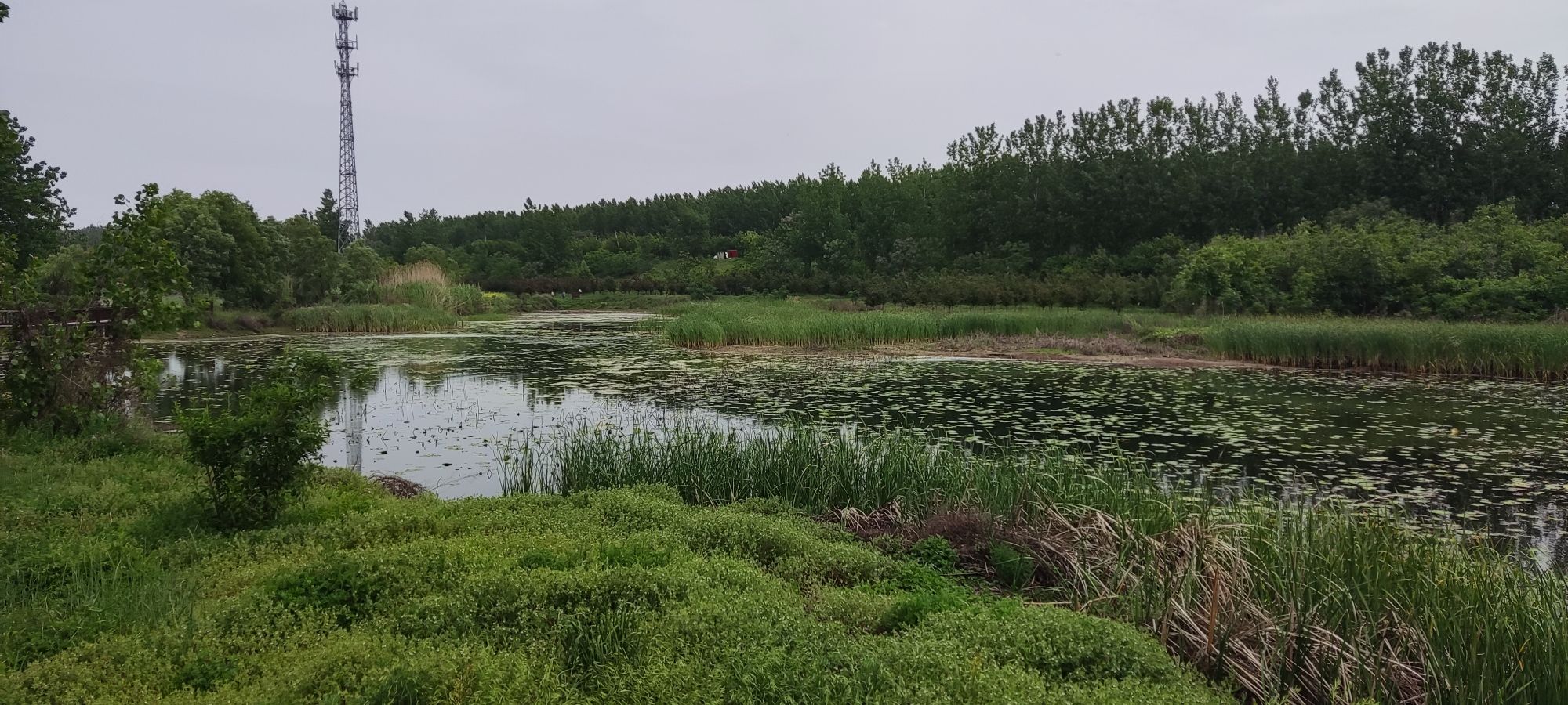 河南省漯河市沙河国家湿地公园旅行图片 1