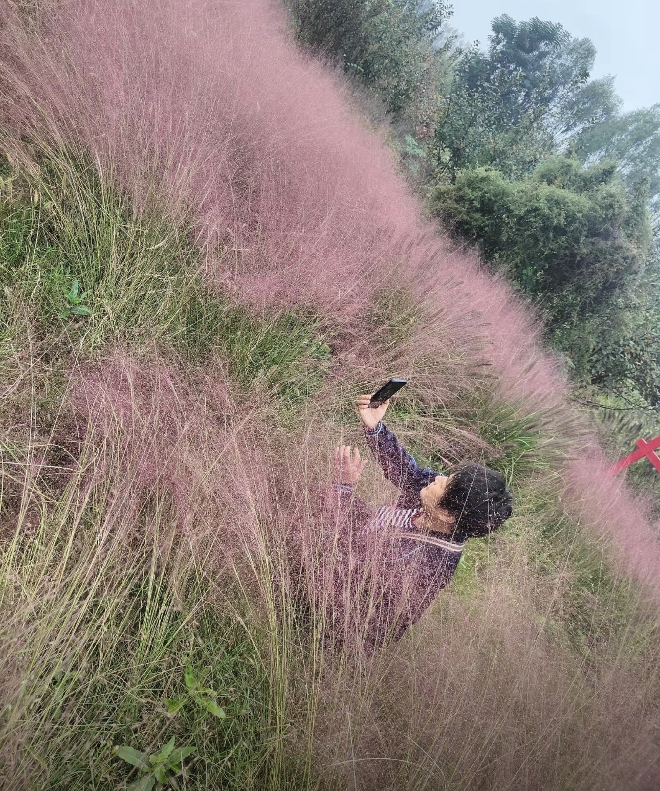 河南省漯河市沙河国家湿地公园旅行图片 3