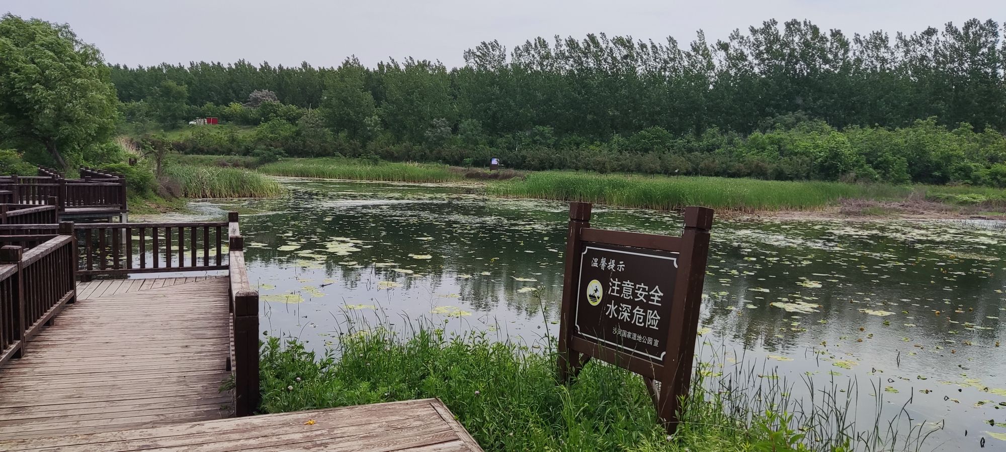 河南省漯河市沙河国家湿地公园旅行图片 3