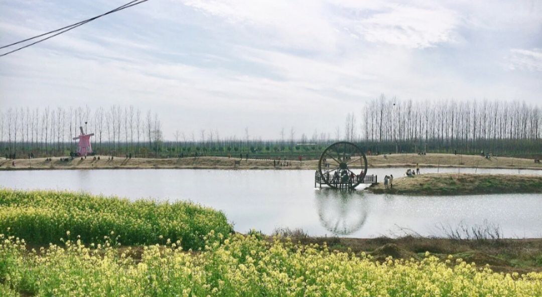 河南省漯河市沙河国家湿地公园旅行图片 1