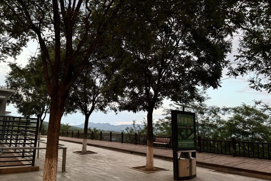 轿顶山旅行图片 3