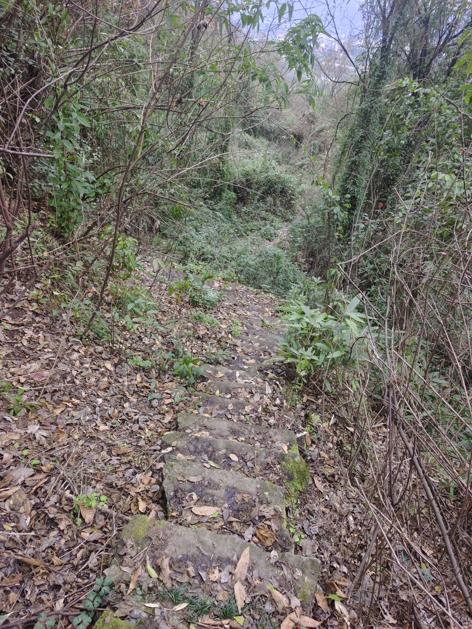 轿顶山旅行图片 3