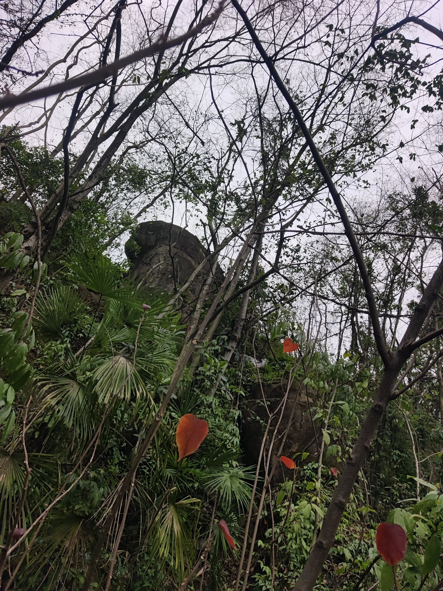 轿顶山旅行图片 2