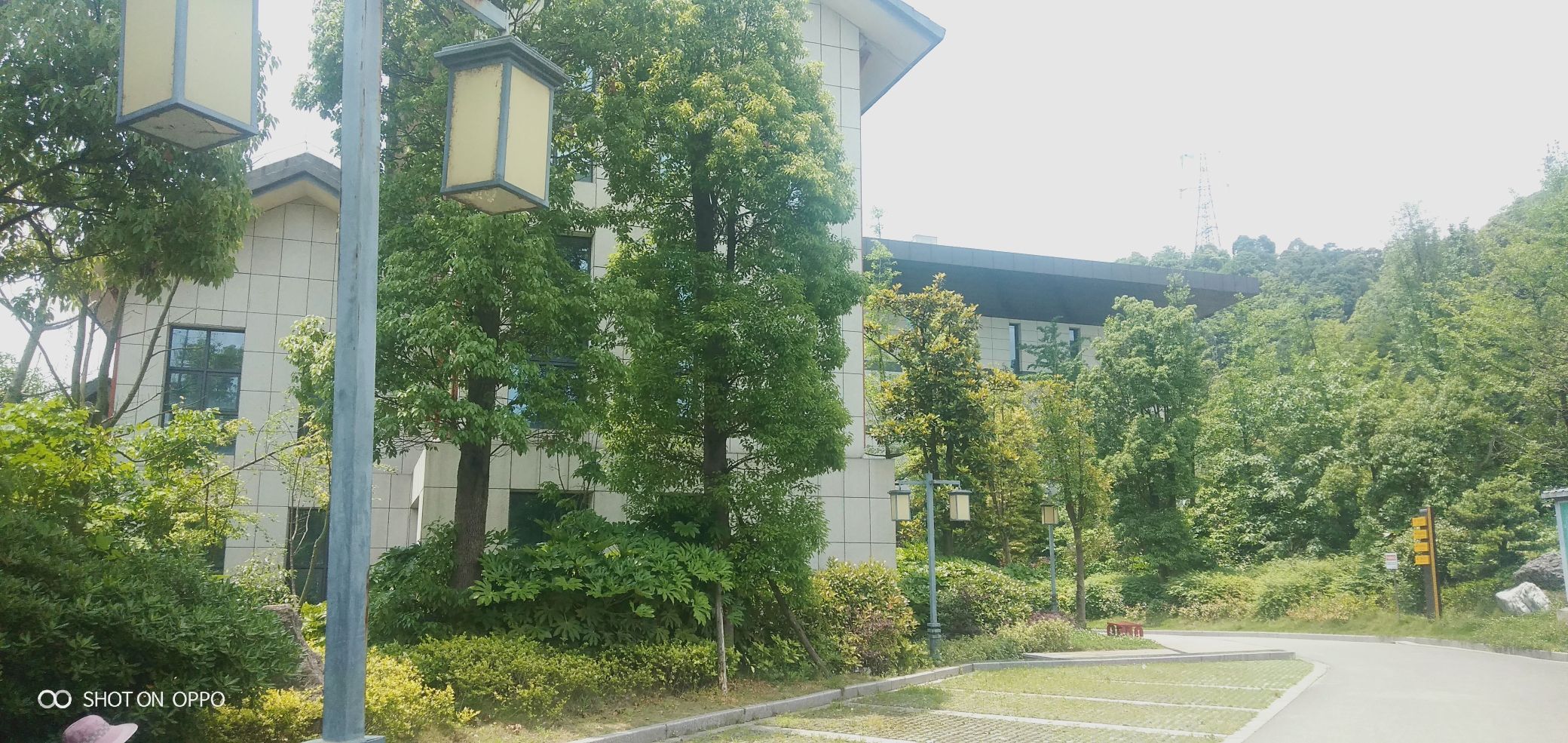 大龙滩生态湿地公园旅行图片 3