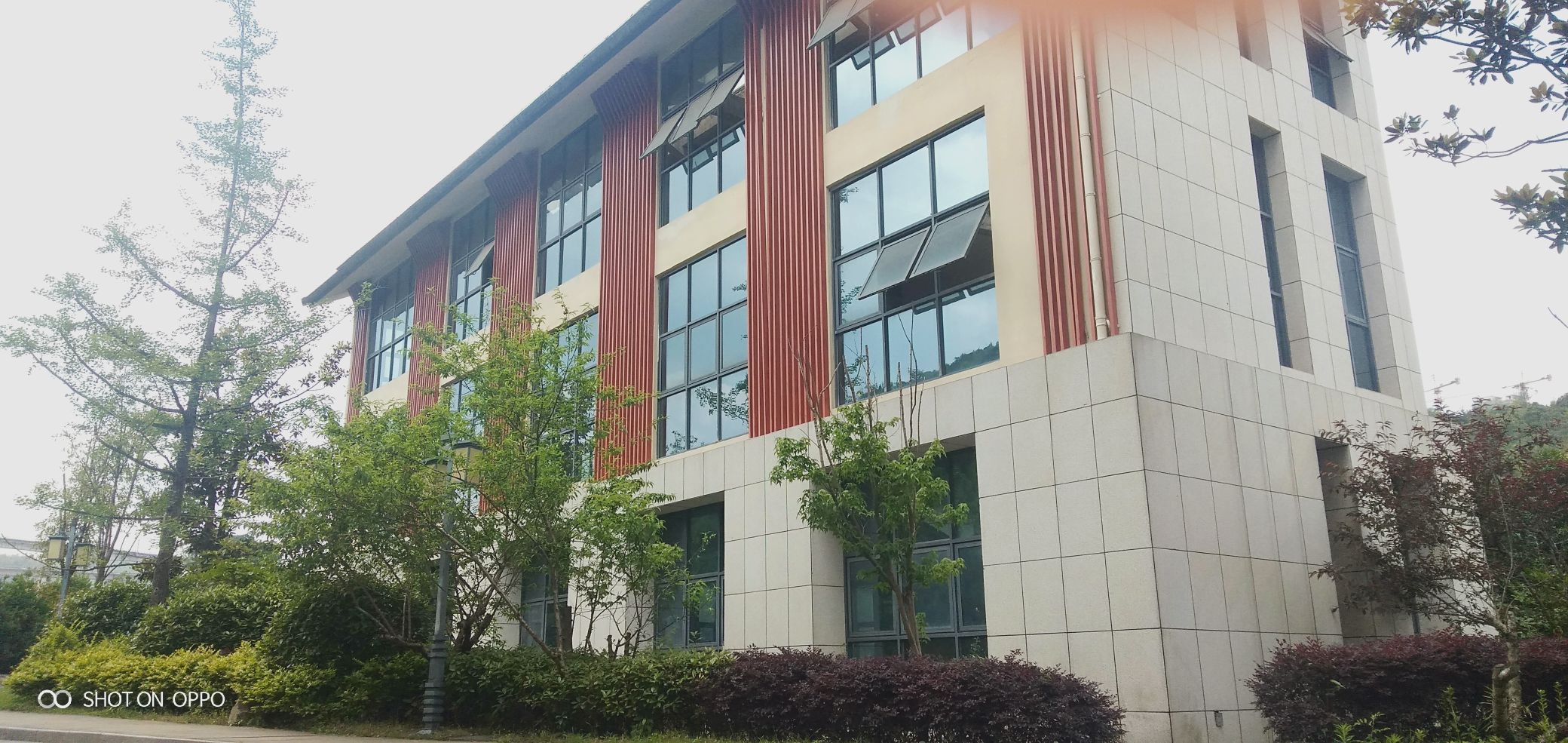 大龙滩生态湿地公园旅行图片 2