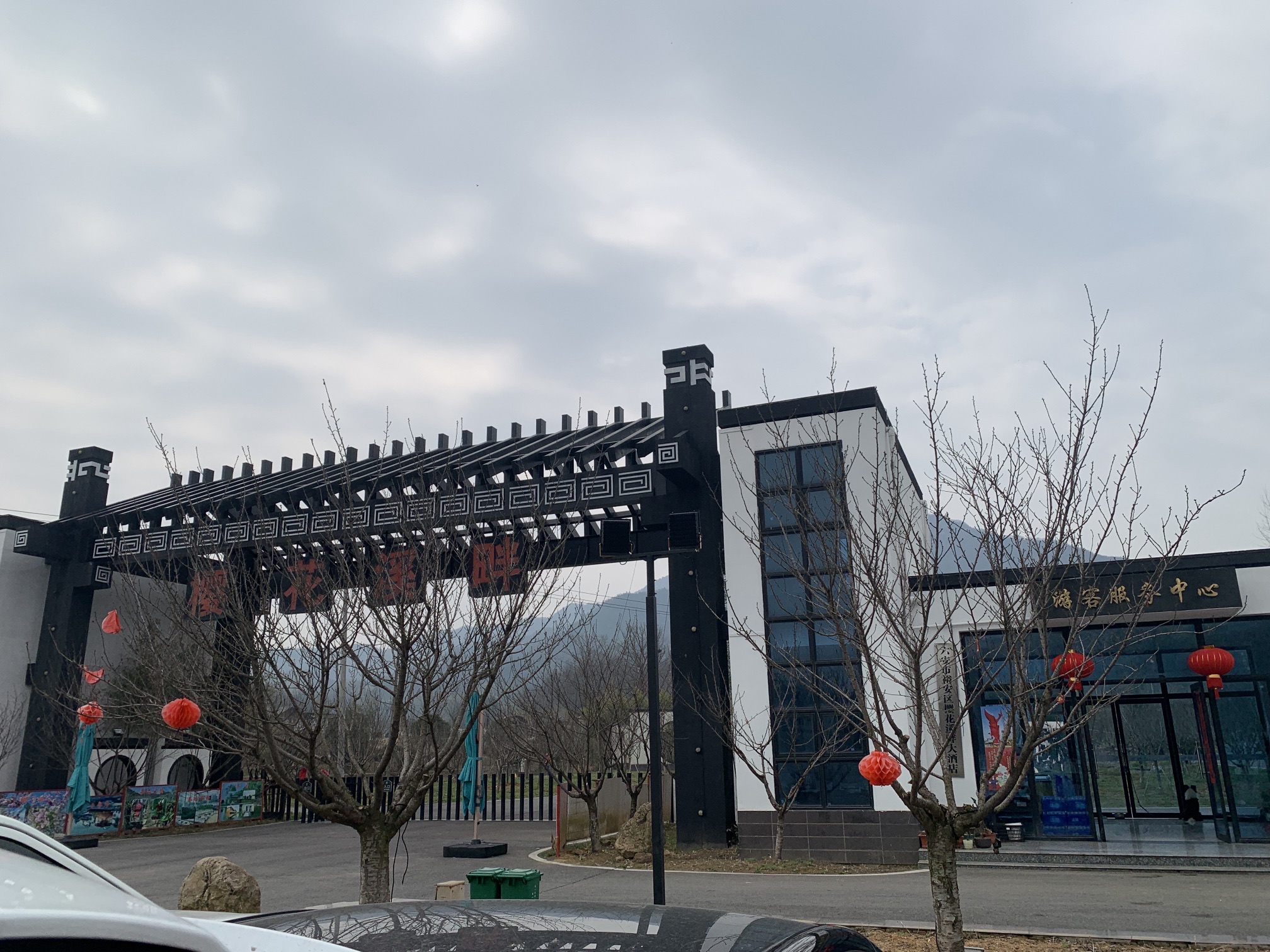 樱花溪畔旅行图片 1