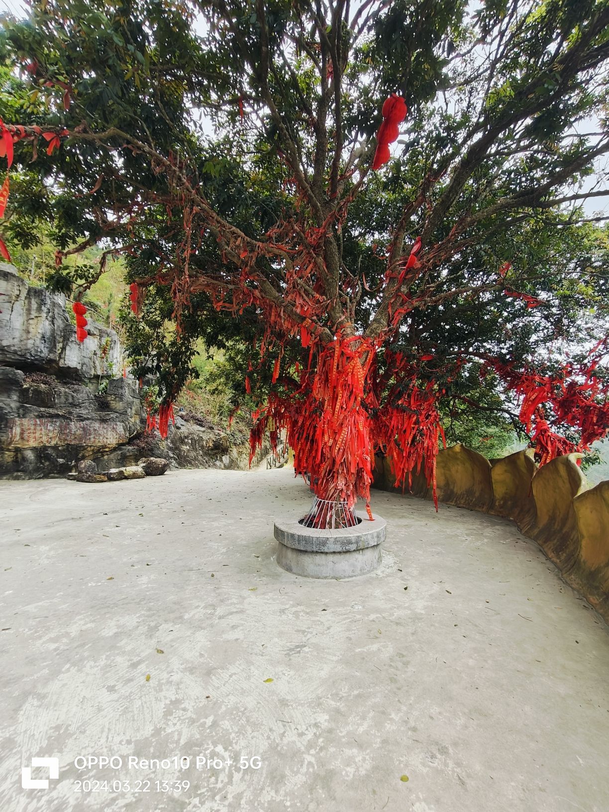 仙人洞旅行图片 3