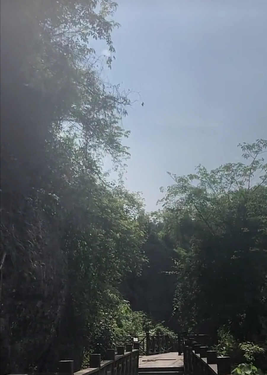 鹰嘴岩木栈道旅行图片 1