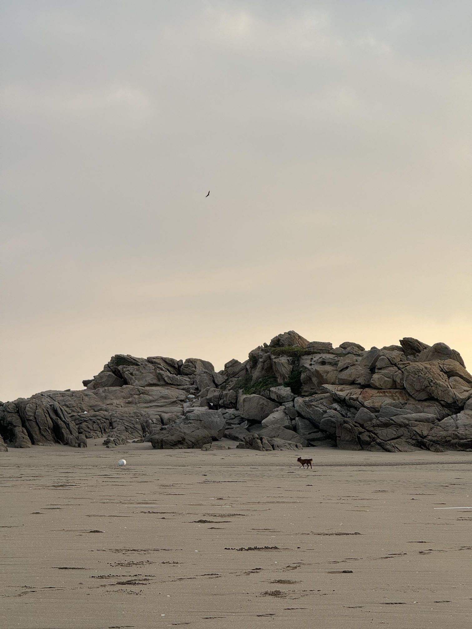 滋澳海滩旅行图片 3