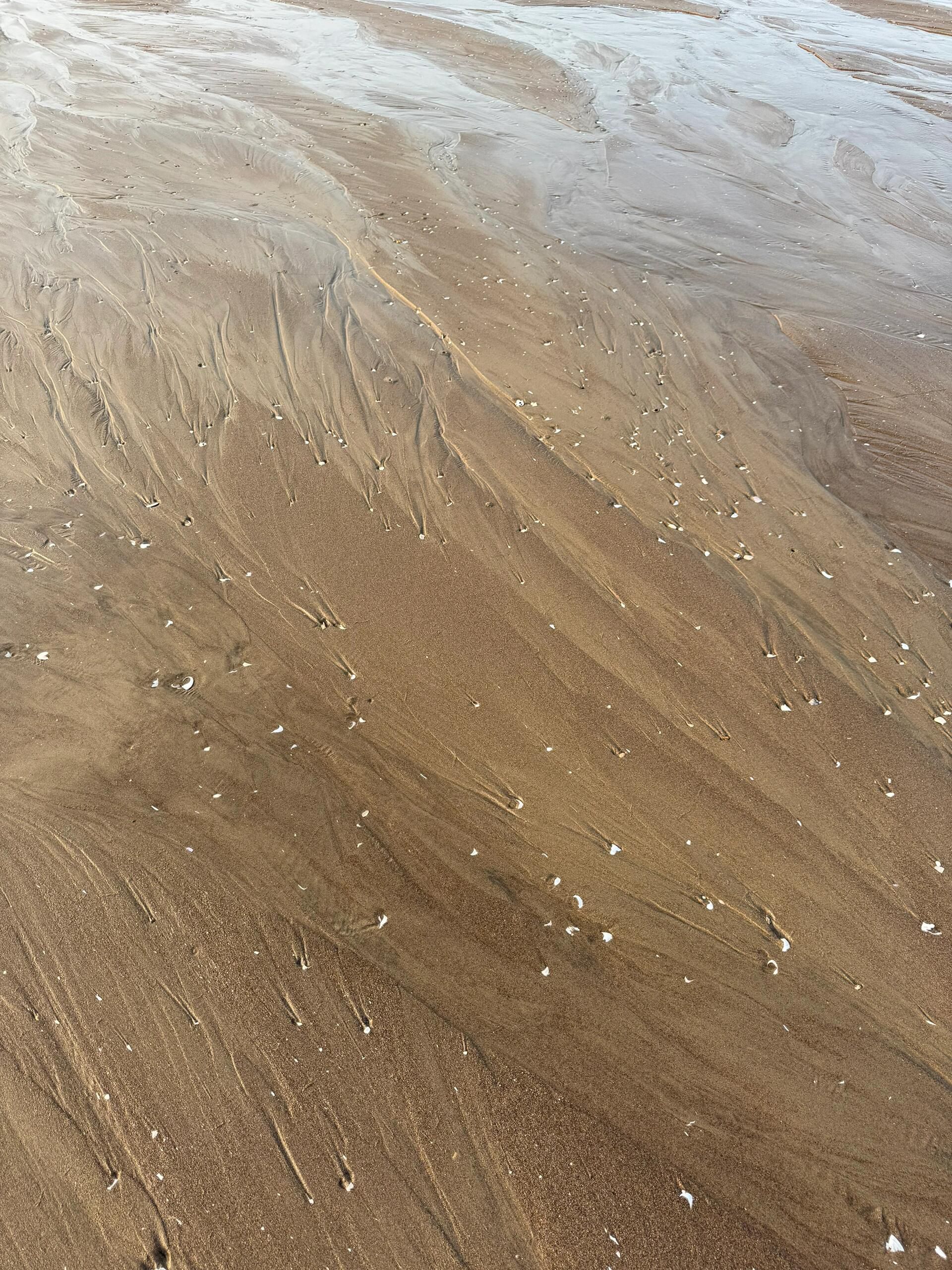 滋澳海滩旅行图片 2