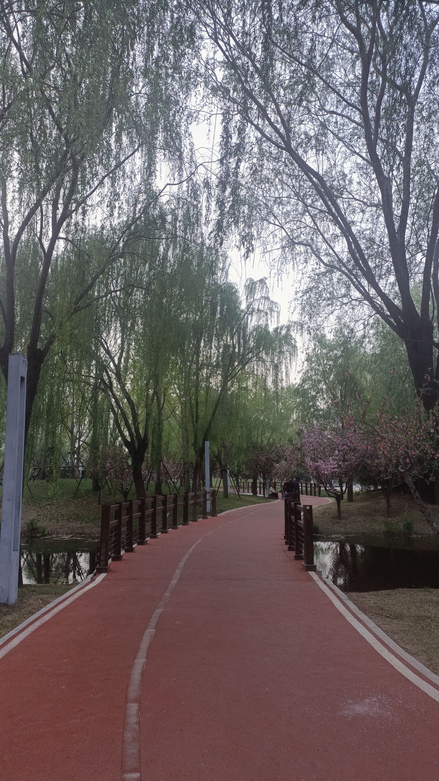 龙泽湖公园旅行图片 3