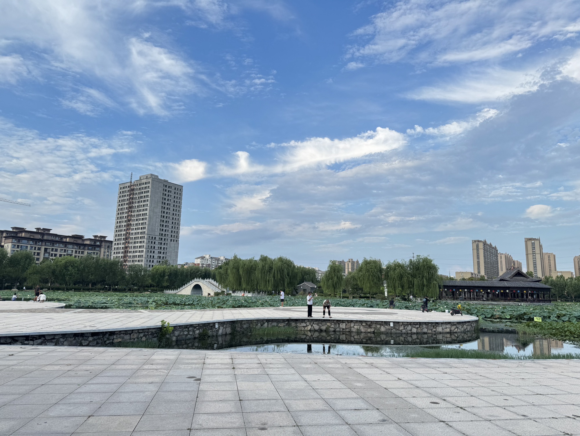 龙泽湖公园旅行图片 2