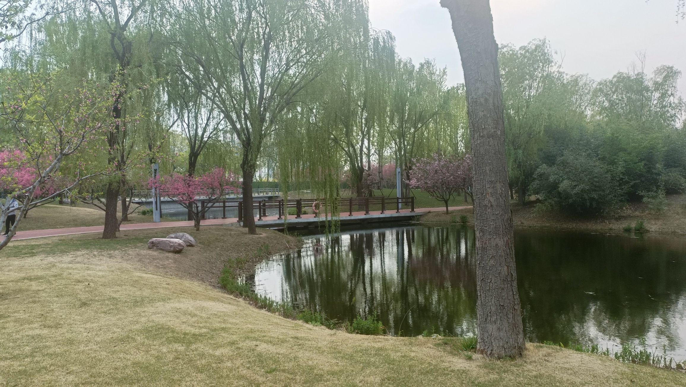 龙泽湖公园旅行图片 1