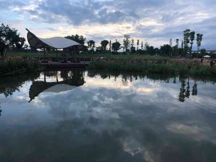 金雁湿地公园旅行图片 2