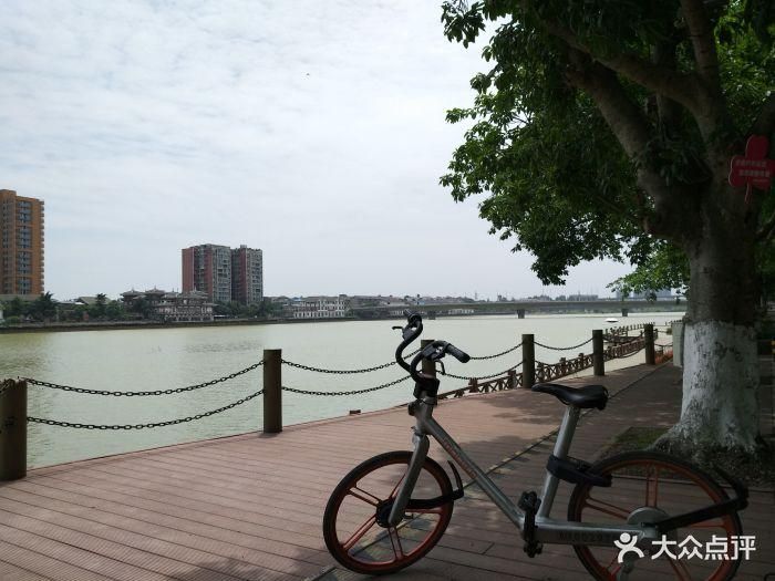 金雁湿地公园旅行图片 3