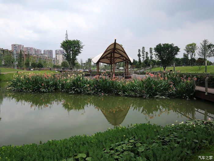 金雁湿地公园旅行图片 1