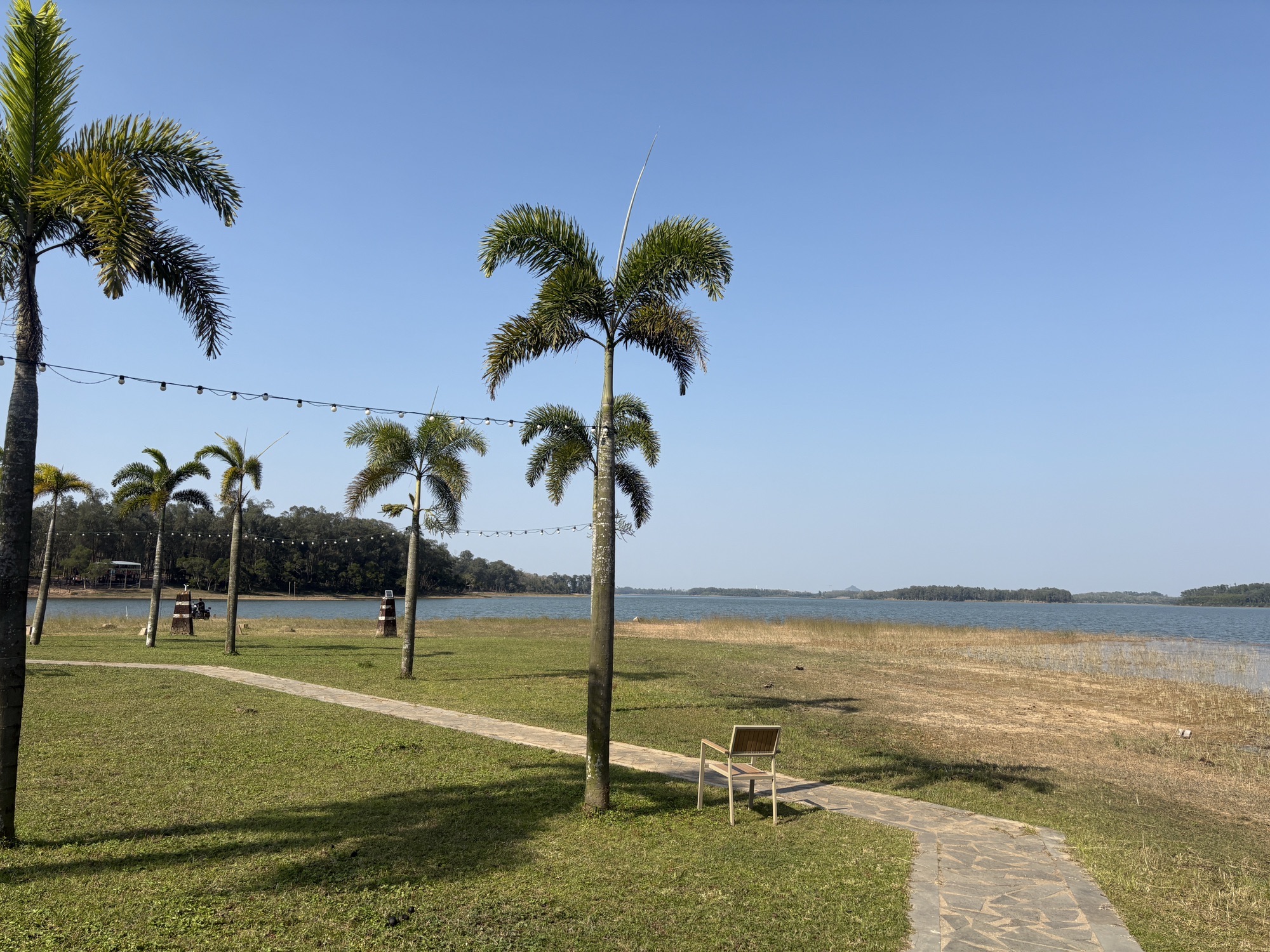 南丽湖醉花岛露营公园