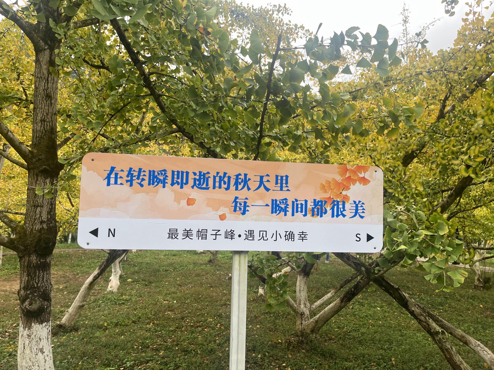 南雄帽子峰旅游景区旅行图片 3