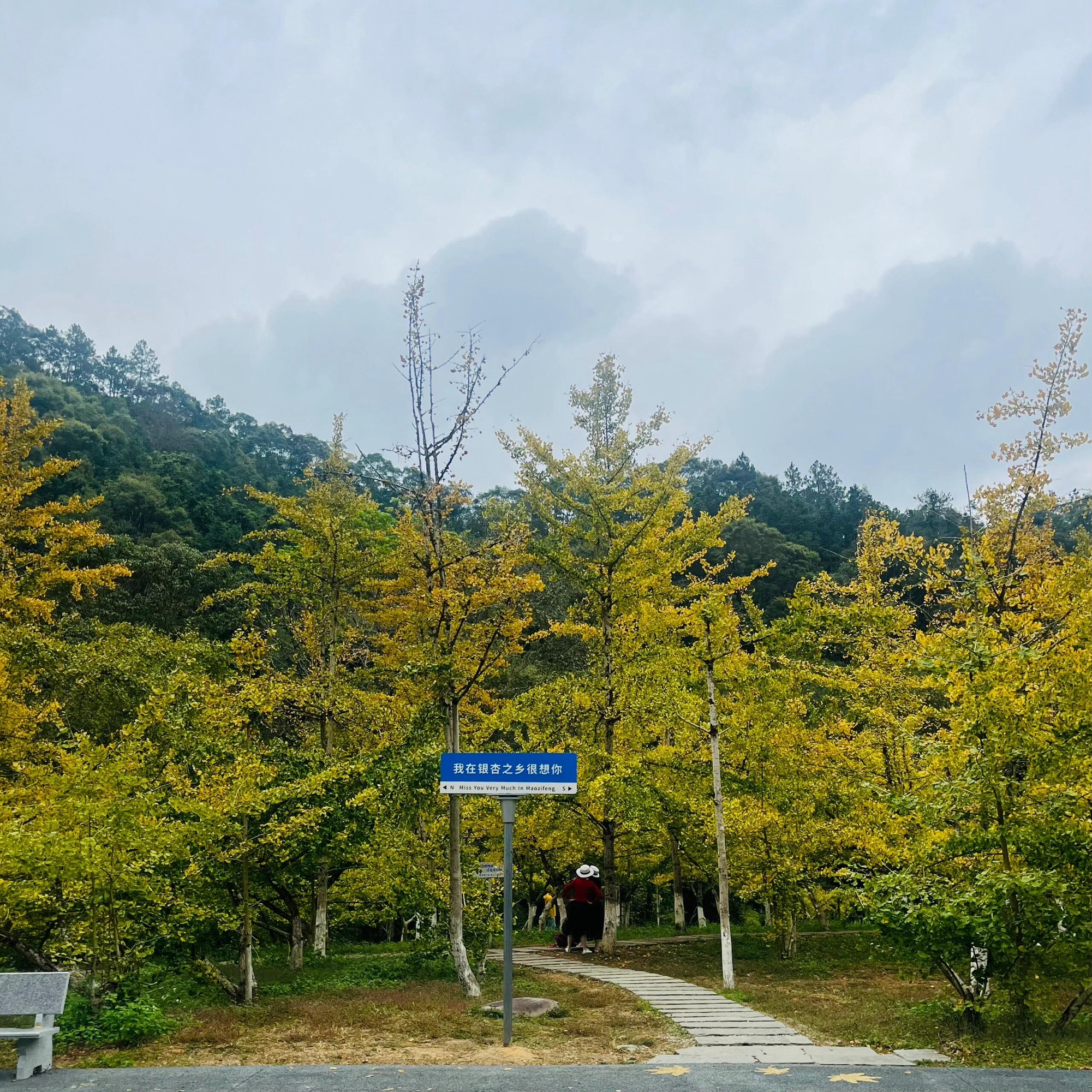 南雄帽子峰旅游景区旅行图片 2
