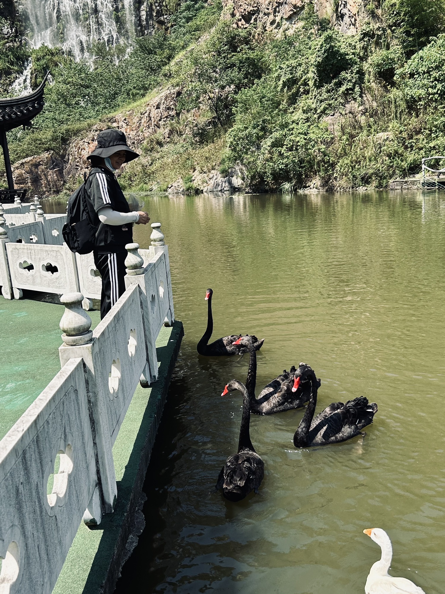 龙凤谷旅行图片 3