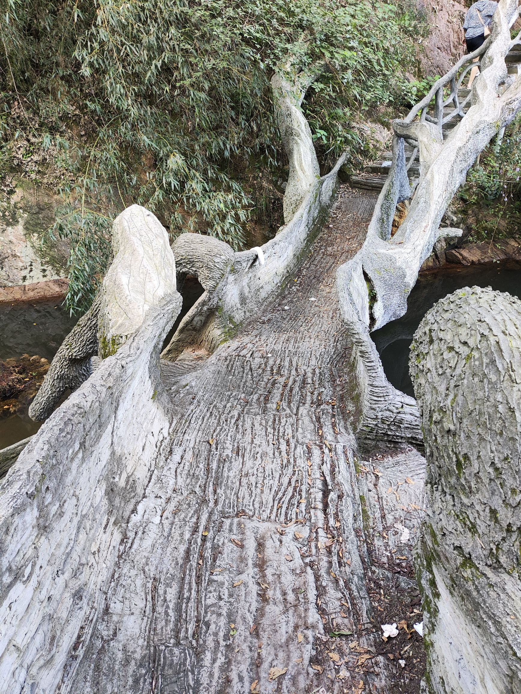 滴水岩风景区旅行图片 3