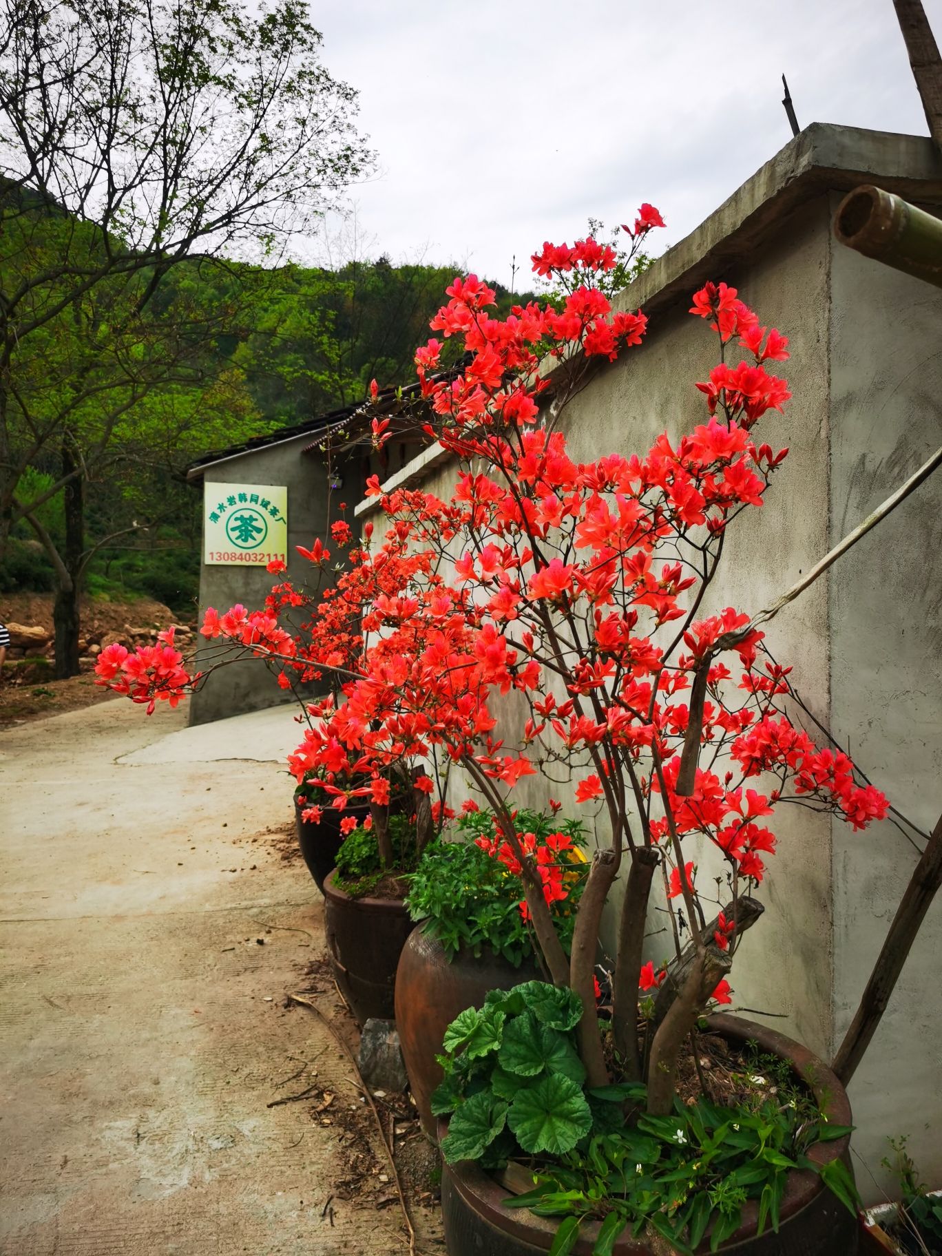 滴水岩风景区旅行图片 3