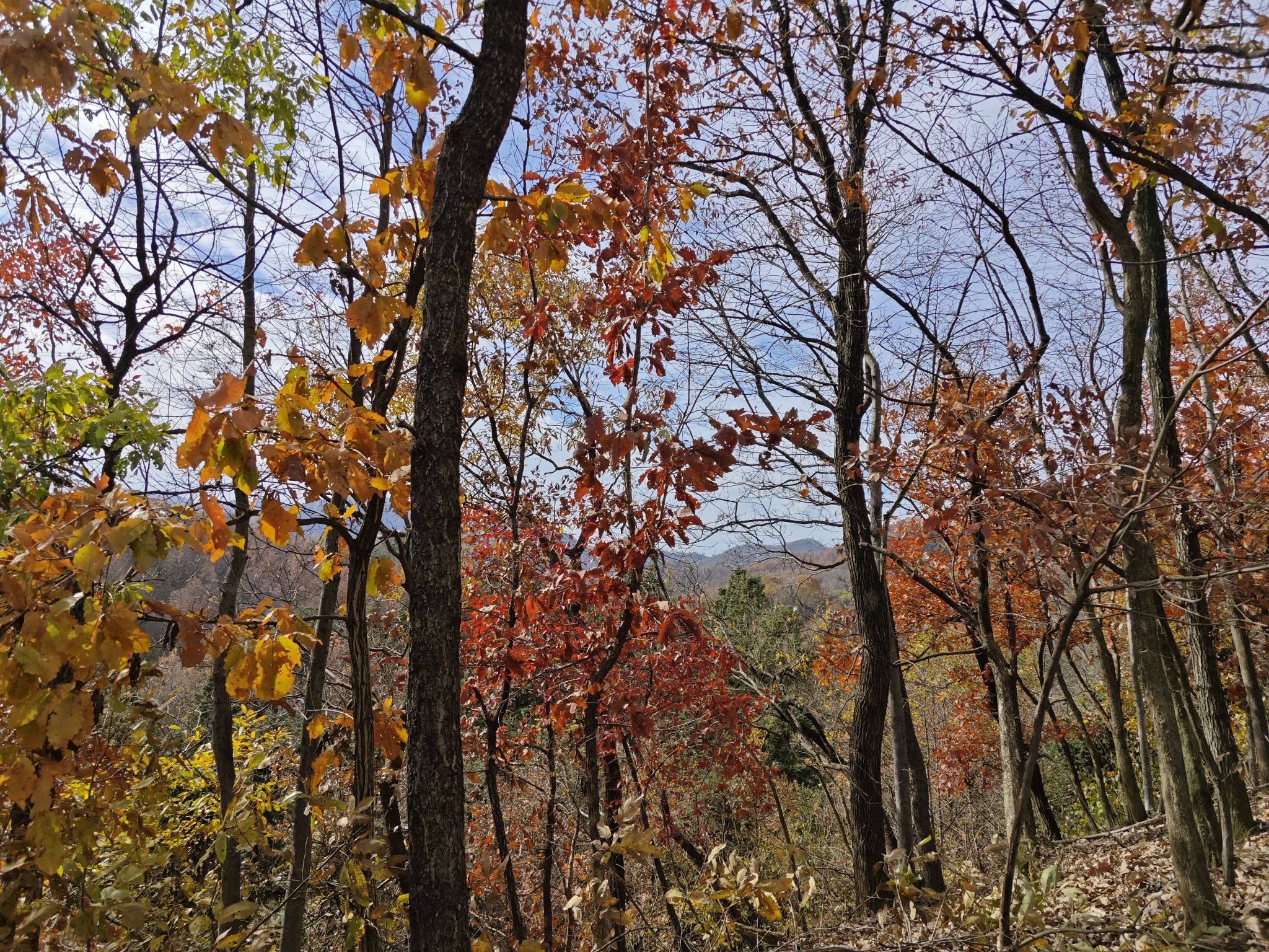 滴水岩风景区旅行图片 2