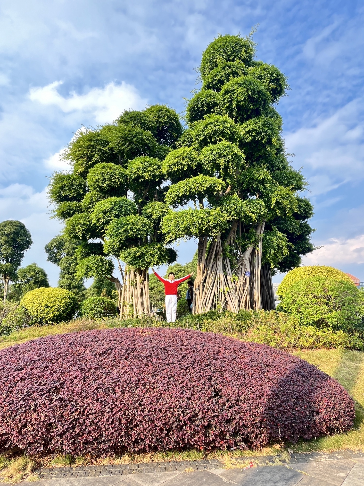 南宁园博园旅行图片 1