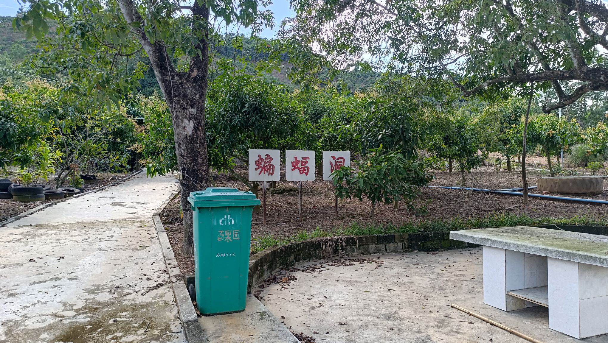 蝙蝠洞