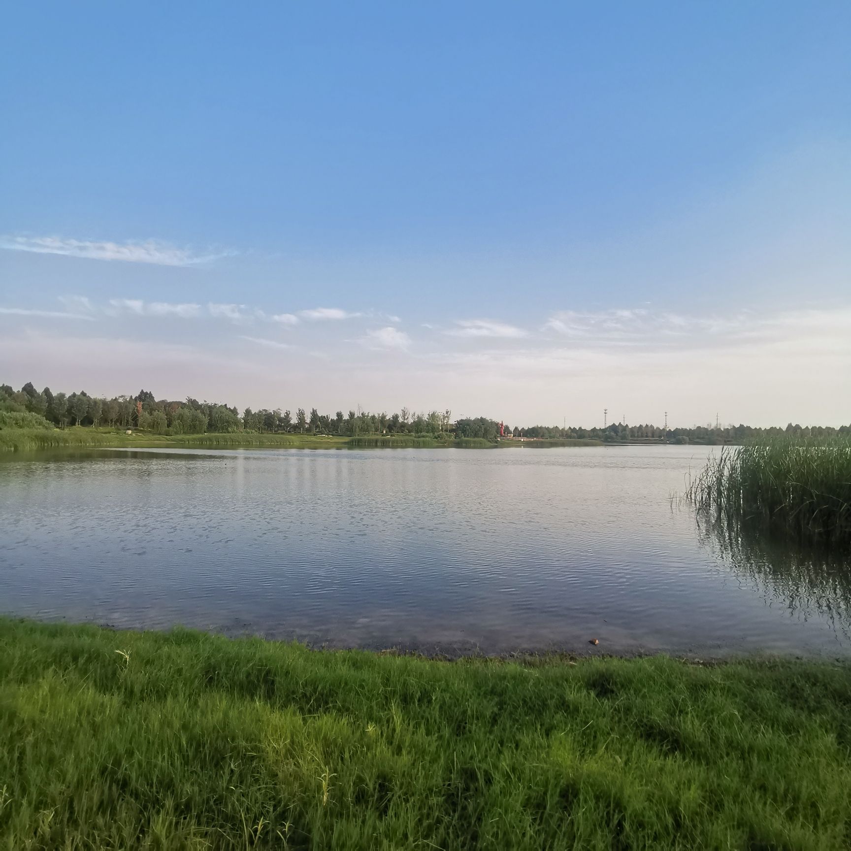 黄河湿地保护区旅行图片 3