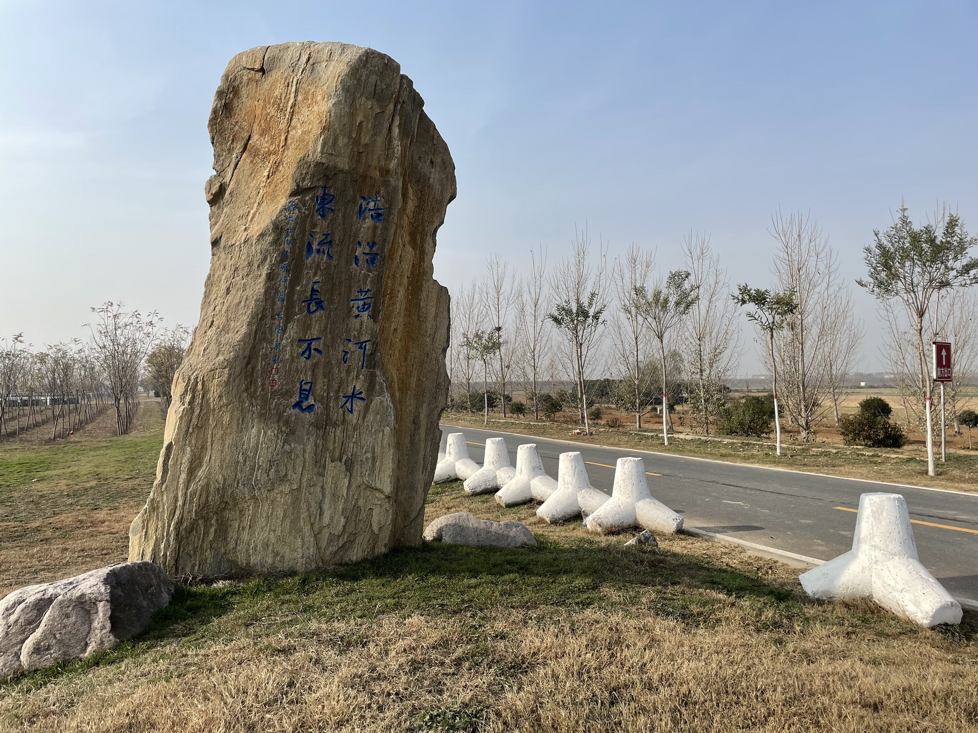 黄河湿地保护区旅行图片 1