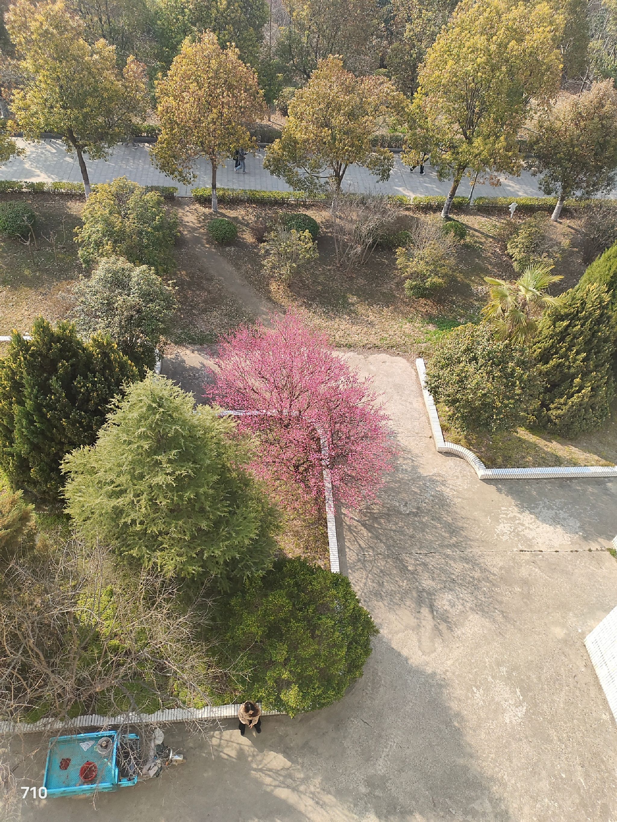 宿州市磬云路游园旅行图片 1