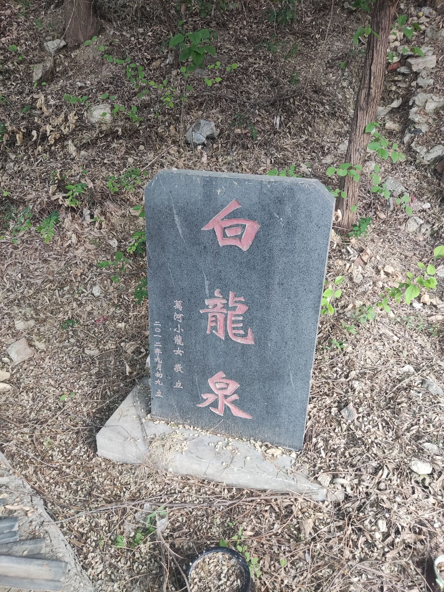 大寨山-碧霞行宫旅行图片 1