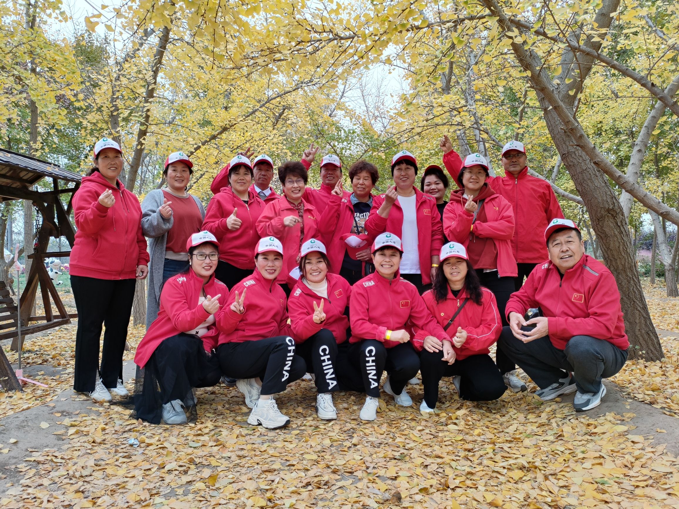 三管镇银杏林旅行图片 2
