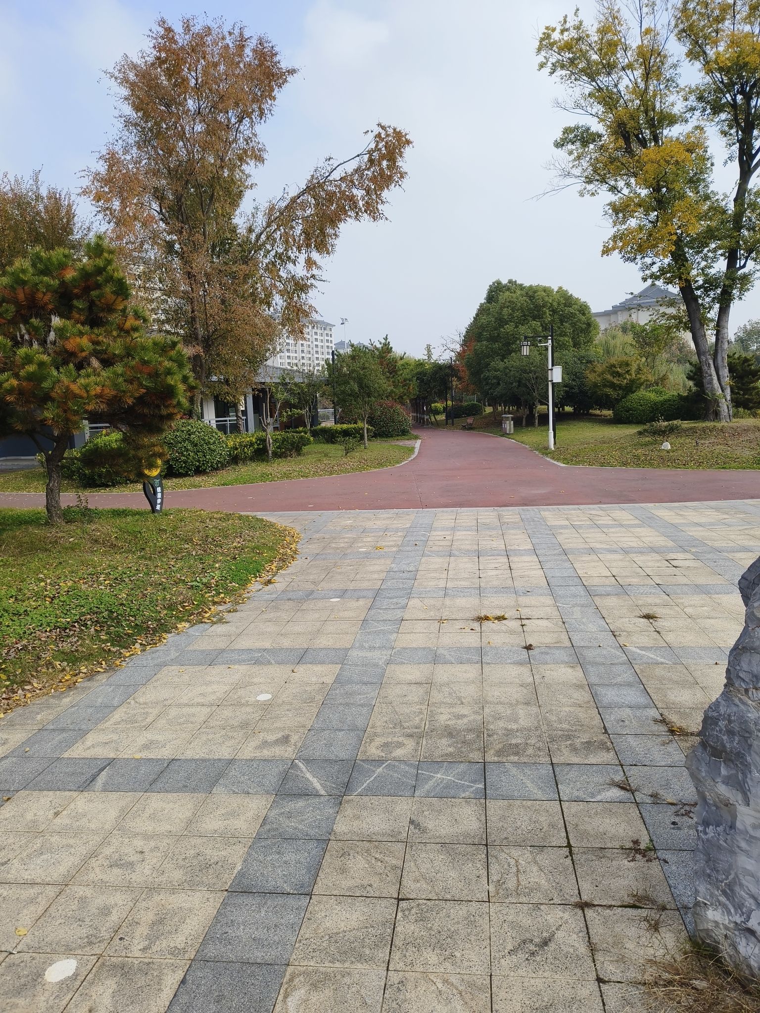 板桥公园旅行图片 3