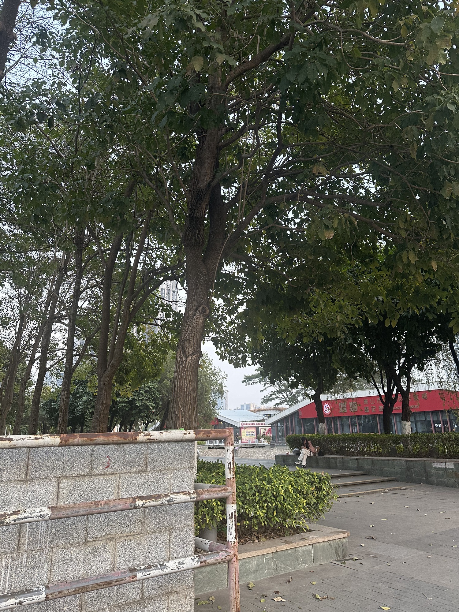 佛山南海金融公园旅行图片 2