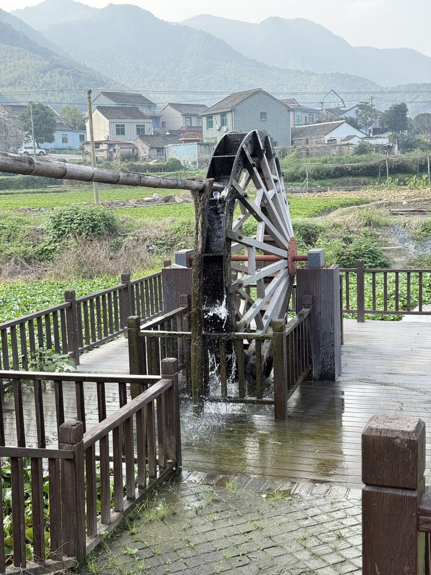 海口闲园旅行图片 2