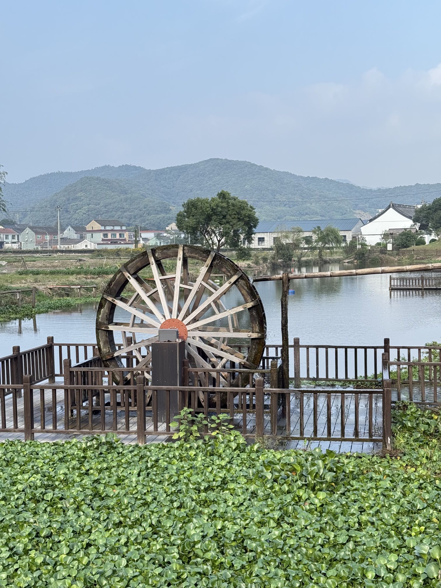 海口闲园旅行图片 1