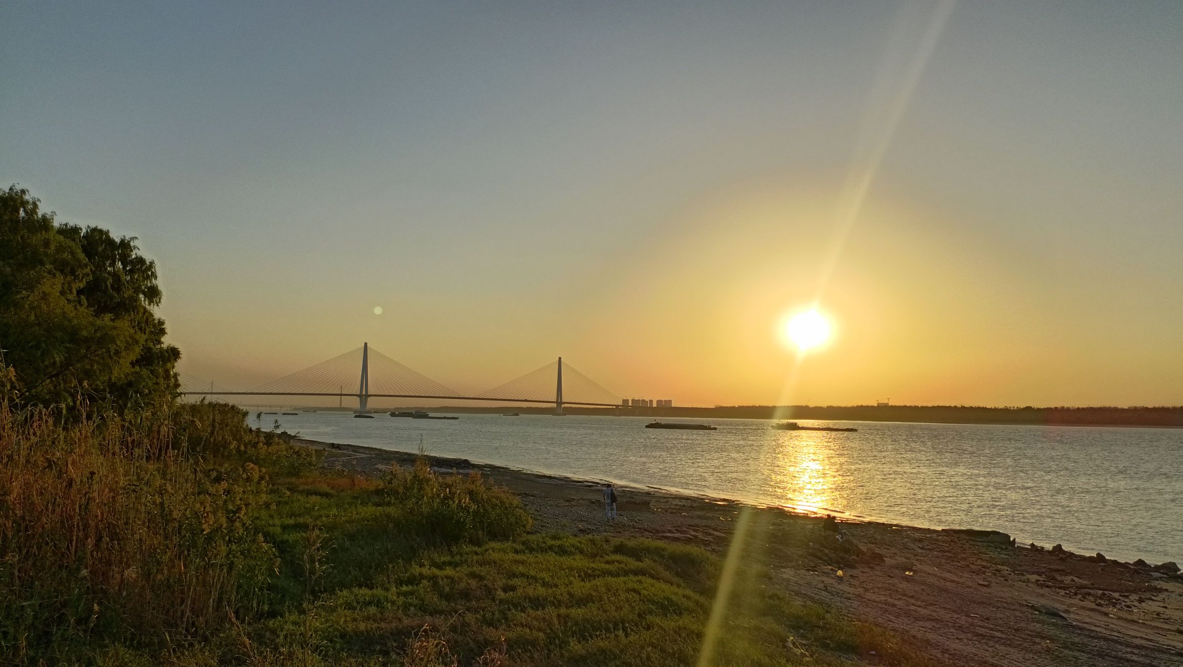 粉黛花海观光带旅行图片 3