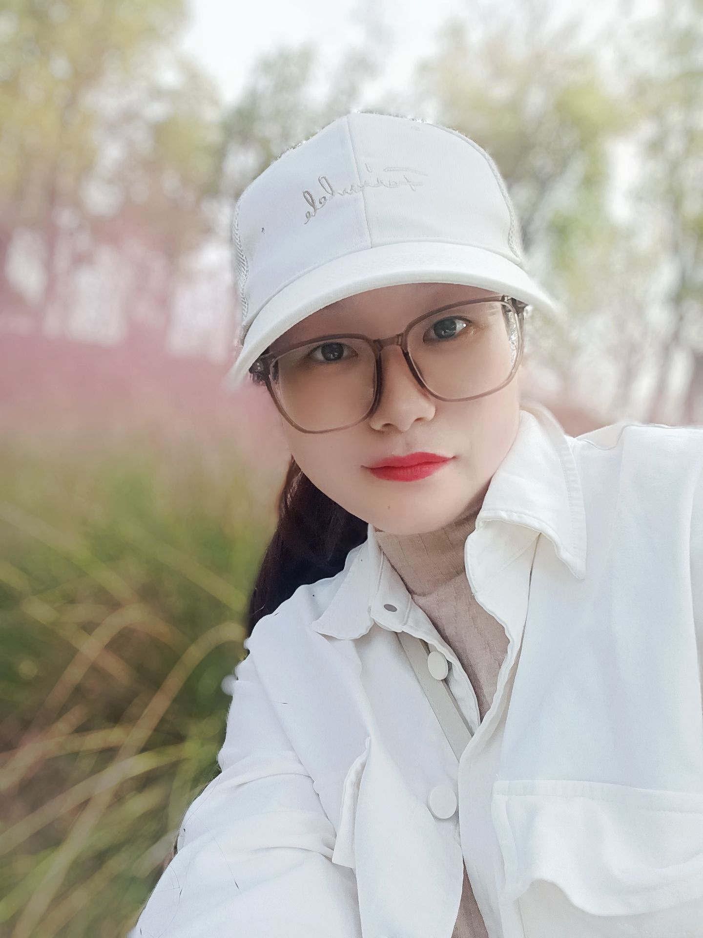 粉黛花海观光带旅行图片 3
