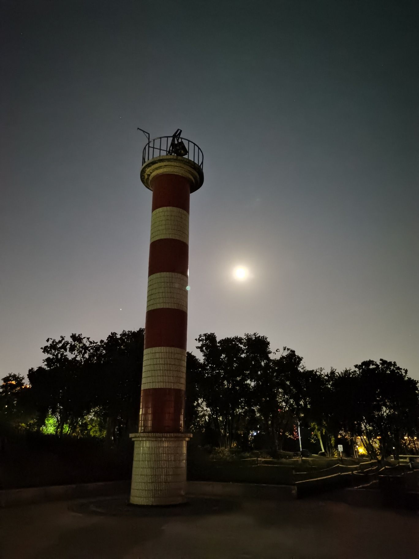 粉黛花海观光带旅行图片 3