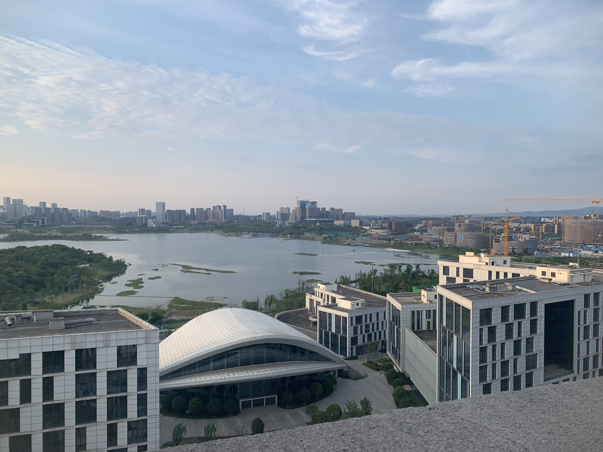 鹭栖湖城市公园旅行图片 2