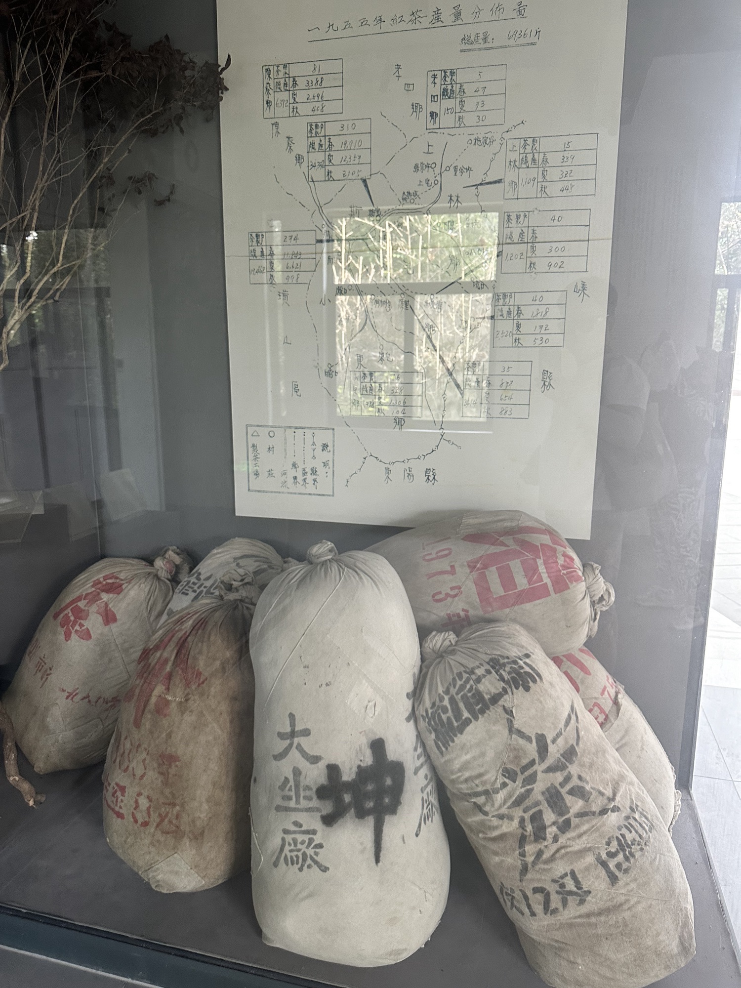 越红博物馆旅行图片 3