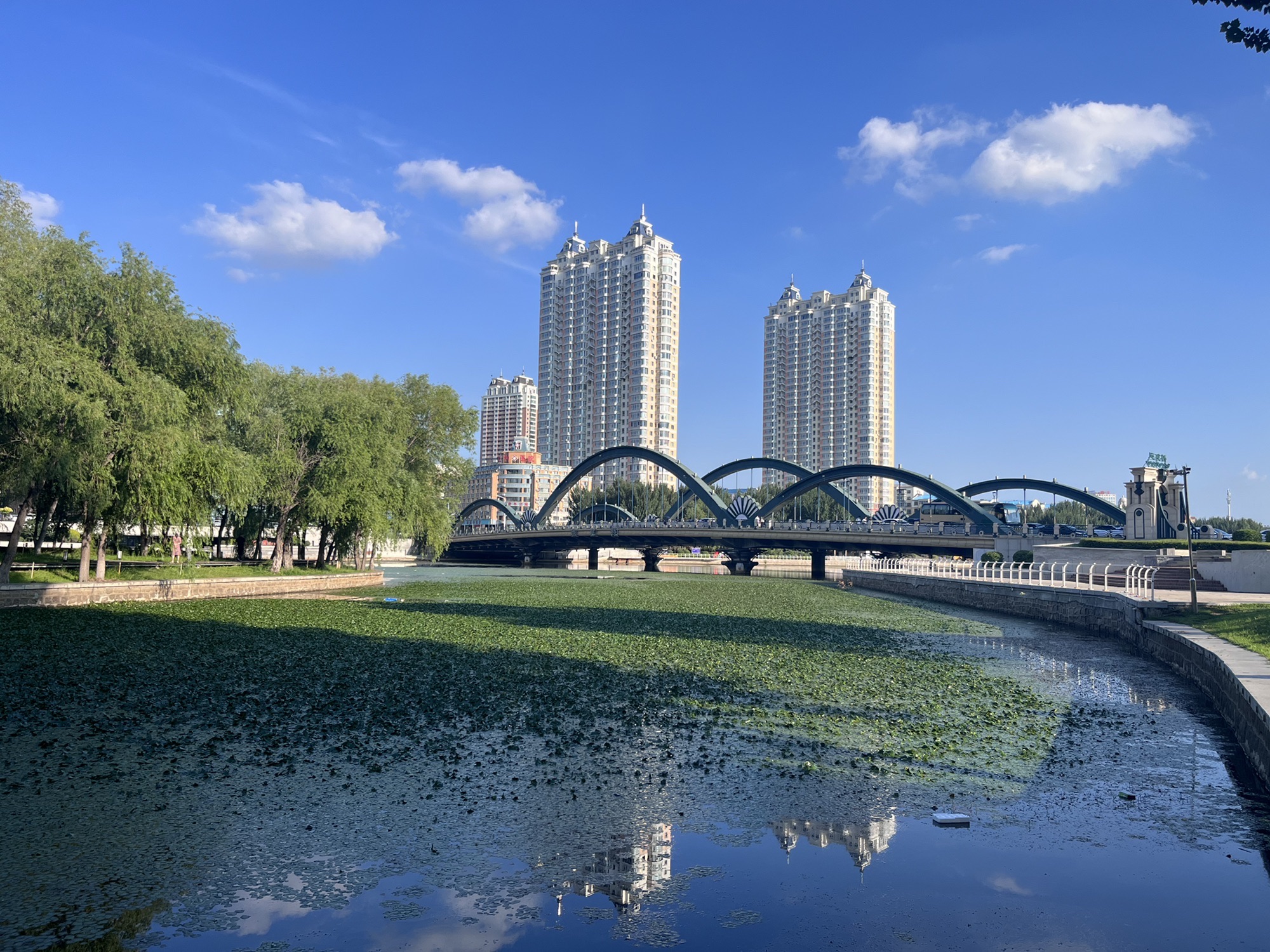 劳动湖将军岛