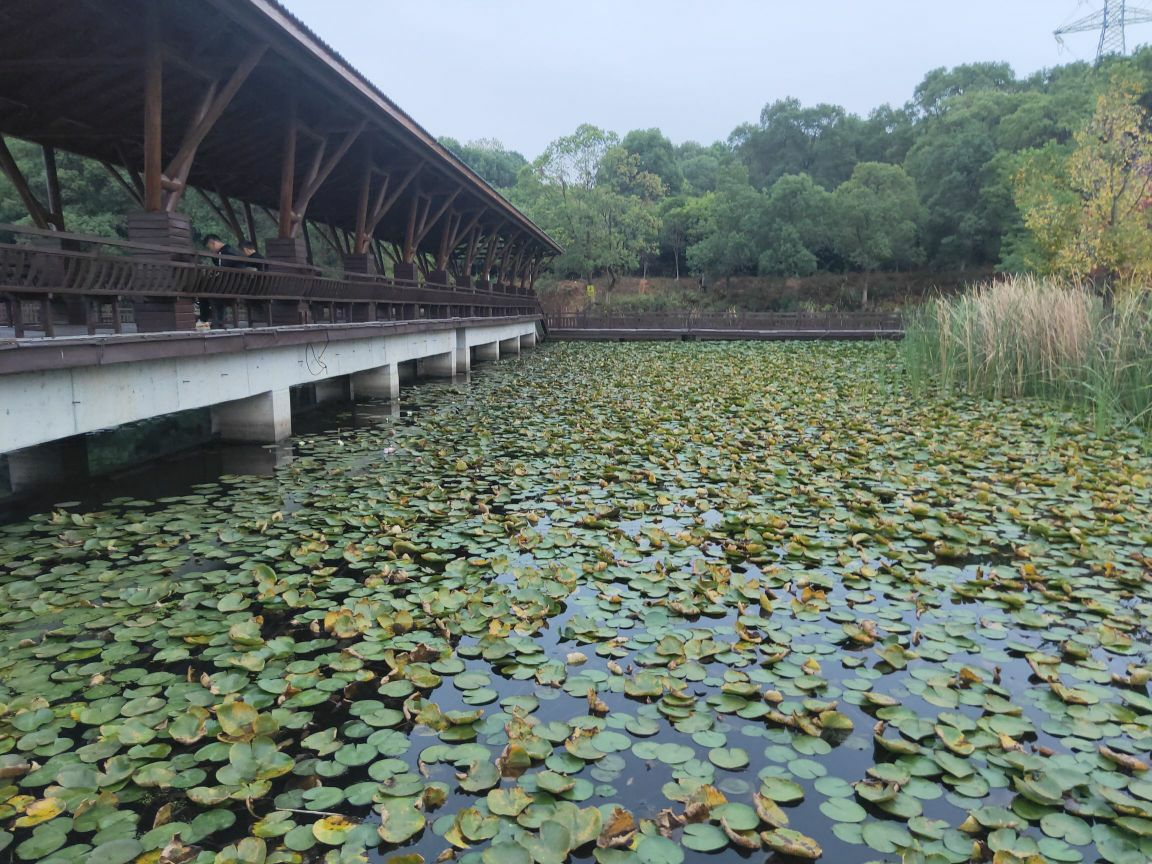 甘露公园旅行图片 1