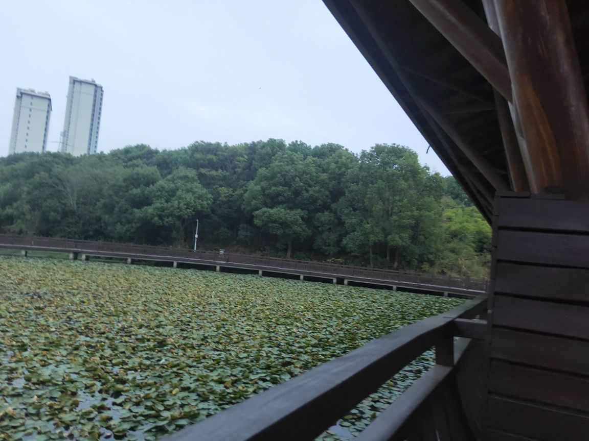 甘露公园旅行图片 2